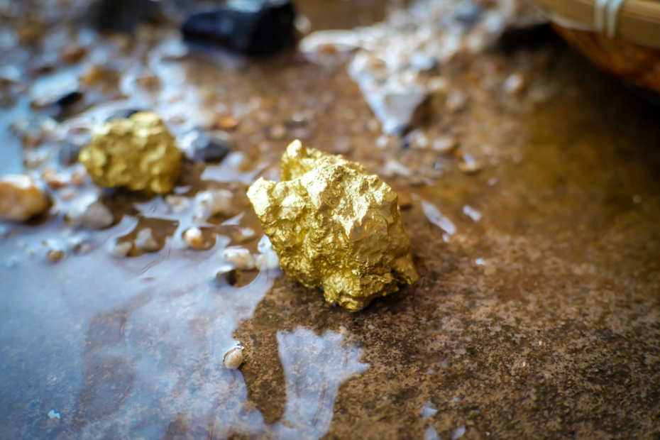    Shutterstock/FOTODOM