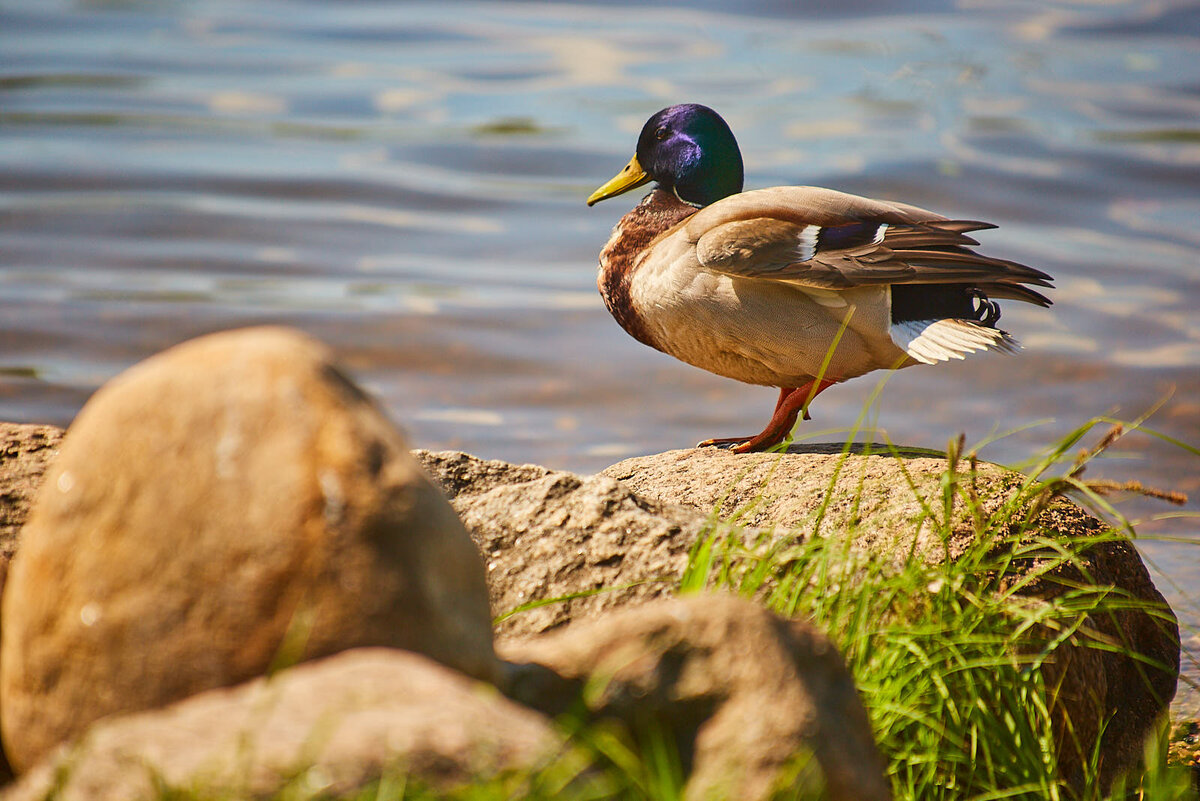 Фото: Анастасия Чистякова/РИА Верхневолжье