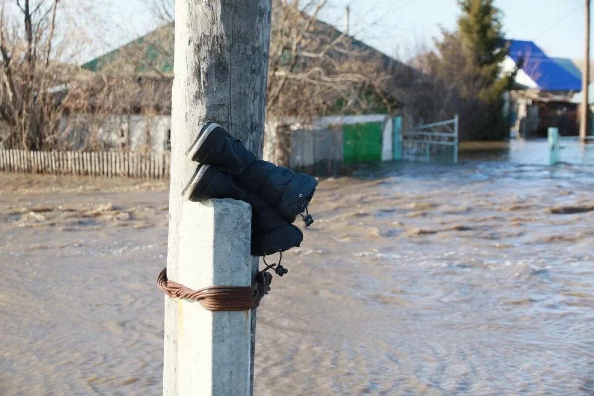    Весна размывает дороги: во Владимирской области началось половодье