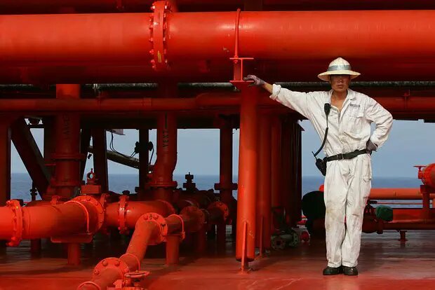    Источник: lenta.ru/ Елизавета Кошелева