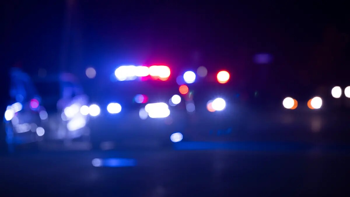    Источник: vm.ru/ Руслан Титов