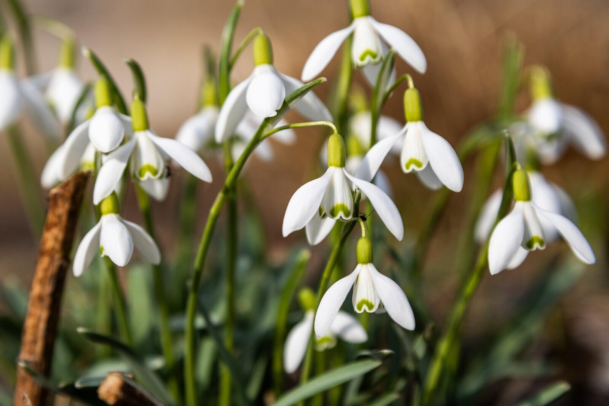 Олег Золото/«Петербургский дневник»