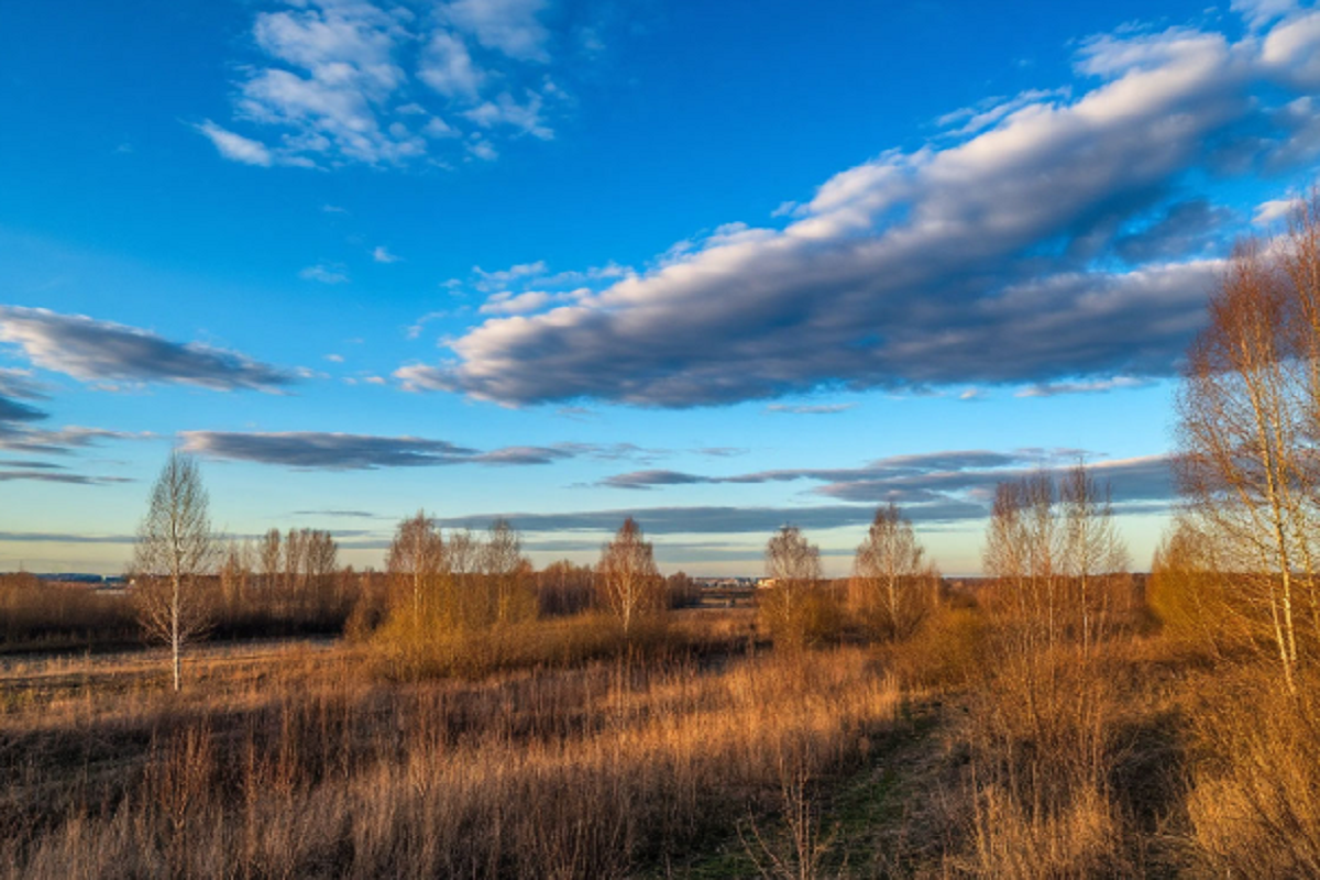    Фото: коллаж RuNews24.ru