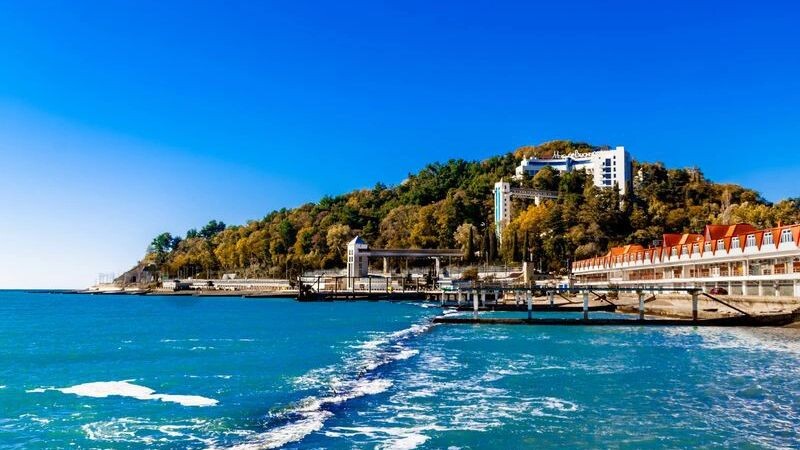    Фото: Newlander90/Shutterstock/Fotodom