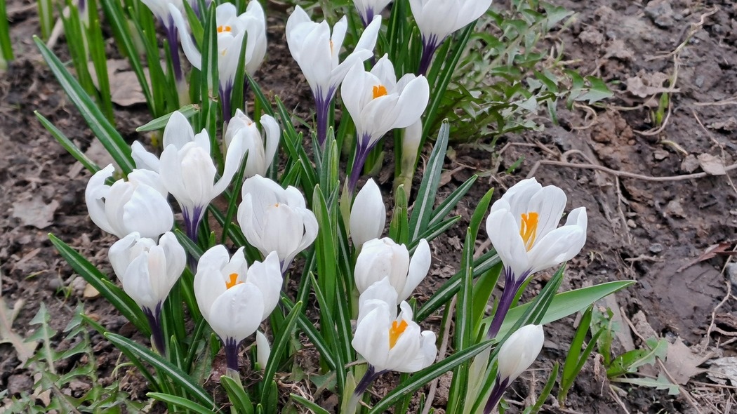    Фото: abn.agency