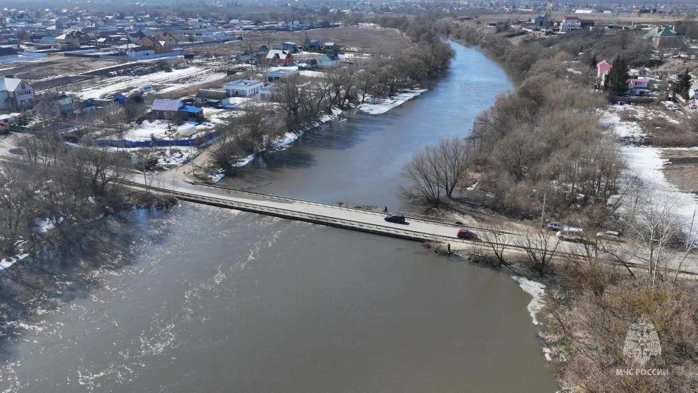   Фото: Управление МЧС по Орловской области