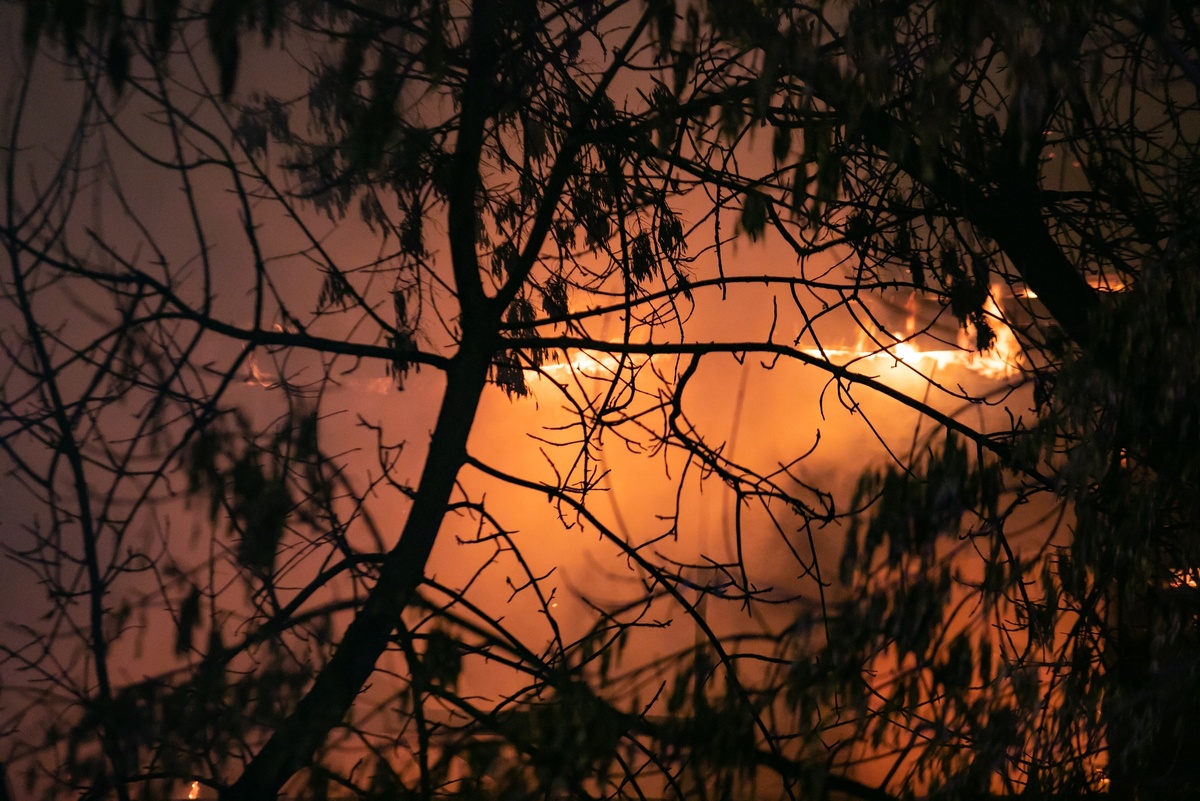    фото: © Людмила Корвякова/Столица на Онего (иллюстративное фото)