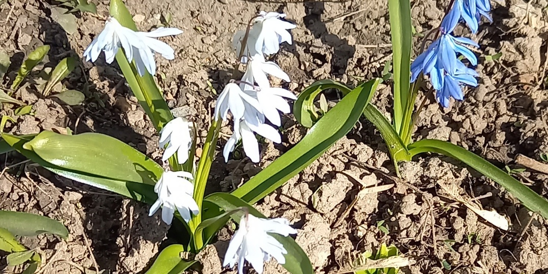 27.03.26. День без заказов.