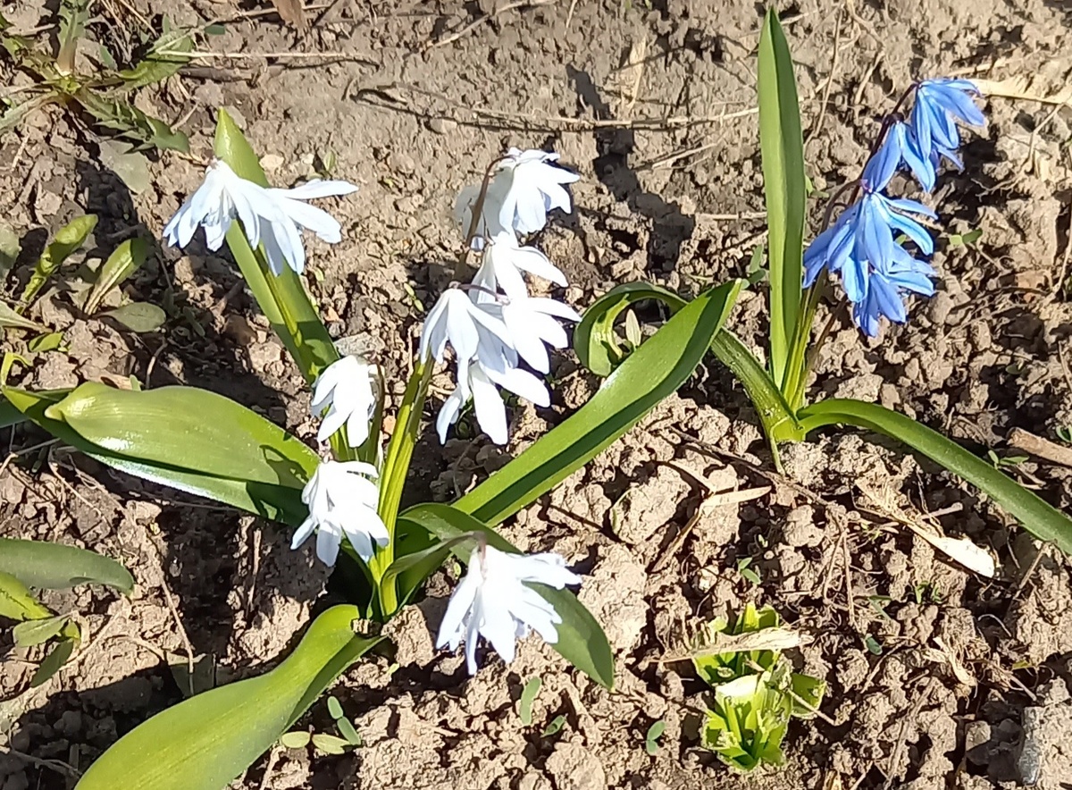 Фото автора.