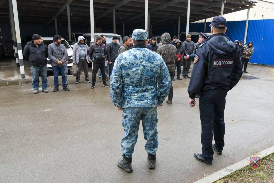    Фото: ГУ МВД России по Волгоградской области