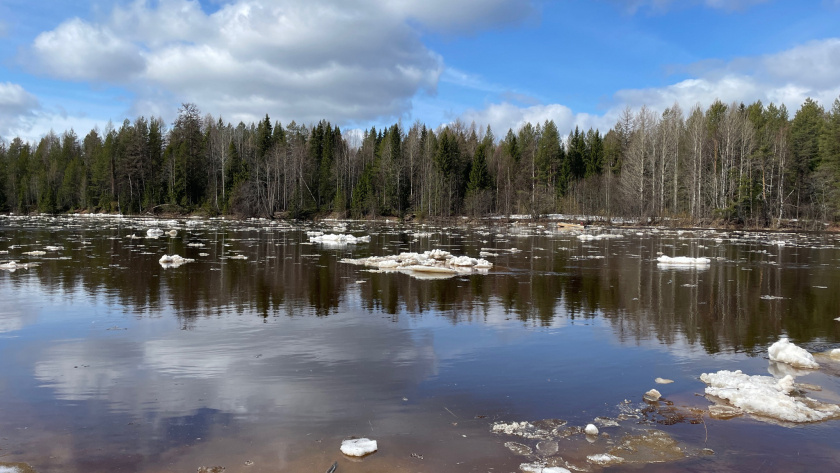    Фото из архива редакции