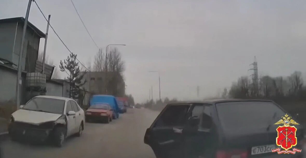    Фото: скриншот видео ГУ МВД России по Петербургу и Ленобласти