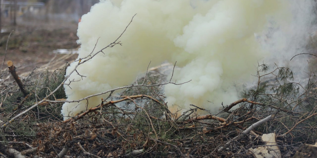 Пожароопасный сезон объявлен в Псковской области с 27 марта