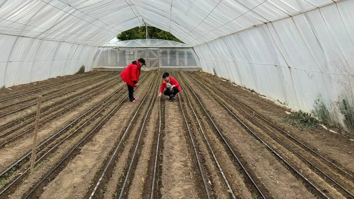    Фото: пресс-служба минприроды Херсонской области