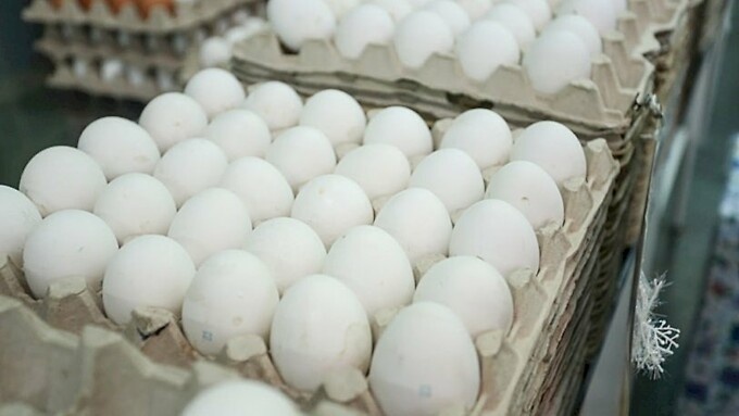 "А до Пасхи еще далеко". Яйца на Алтае подорожали на 8% за три недели марта