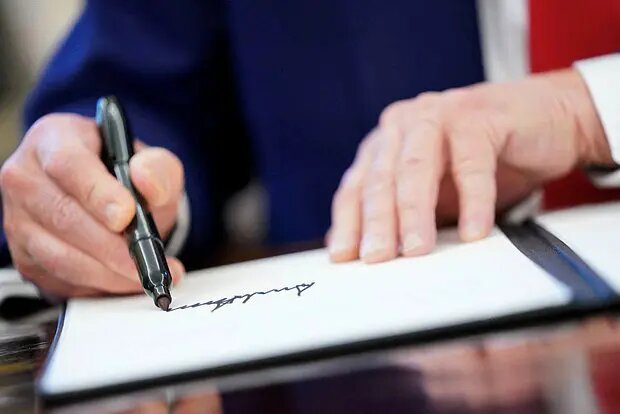    Источник: lenta.ru/ Варвара Орлова