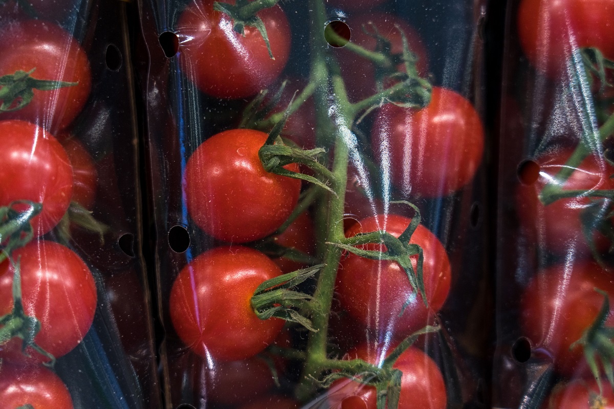 Фото: Александр Плонский / "Агроэксперт"