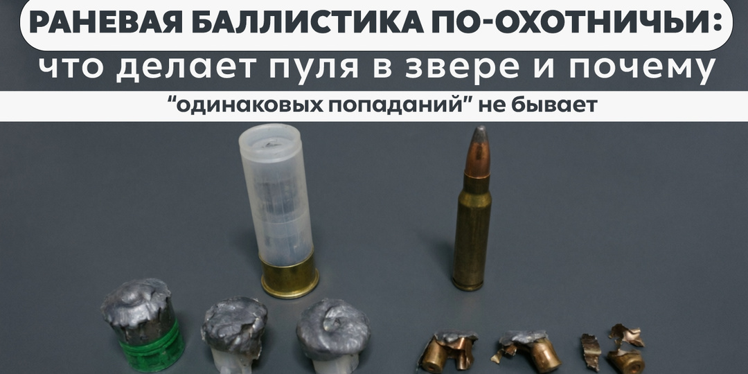Раневая баллистика по-охотничьи: что делает пуля в звере и почему “одинаковых попаданий” не бывает