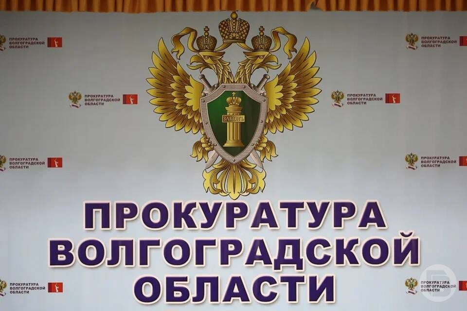    фото: Дмитрий Рогулин / "Городские вести"