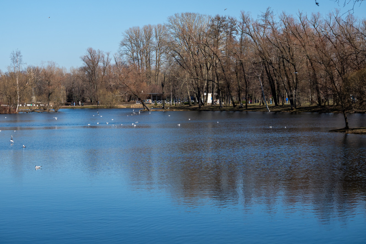 Фото: Олег Золото / «Вечерний Санкт-Петербург»