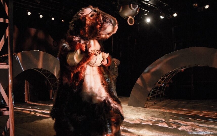    Свинка из спектакля "Солярис".Виктория Назарова | предоставлено театром.
