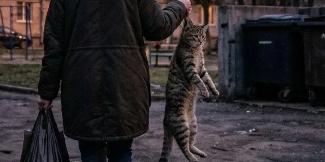 Лежал в луже крови. Хозяйка избила кота и отнесла его умирать на мусорку