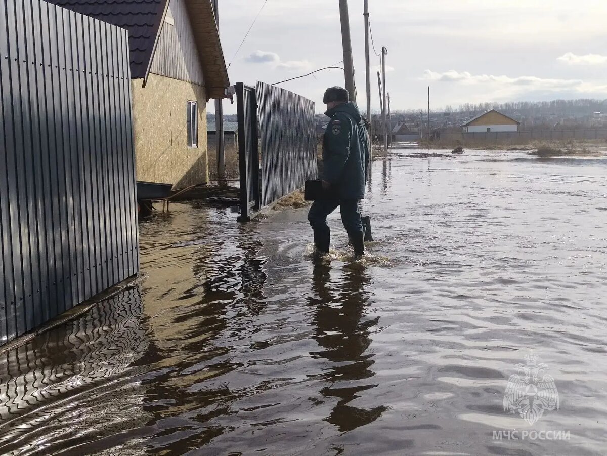   Фото: МЧС Красноярского края