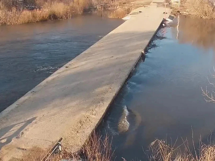     Фото: Минтранс Тульской области