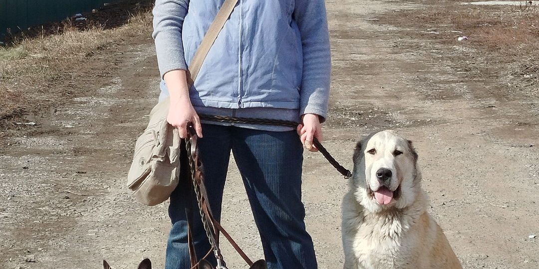 И опять про Яшу