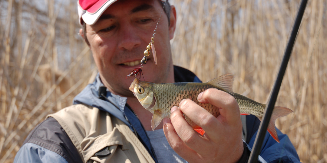 Весна, блесна и красноперка