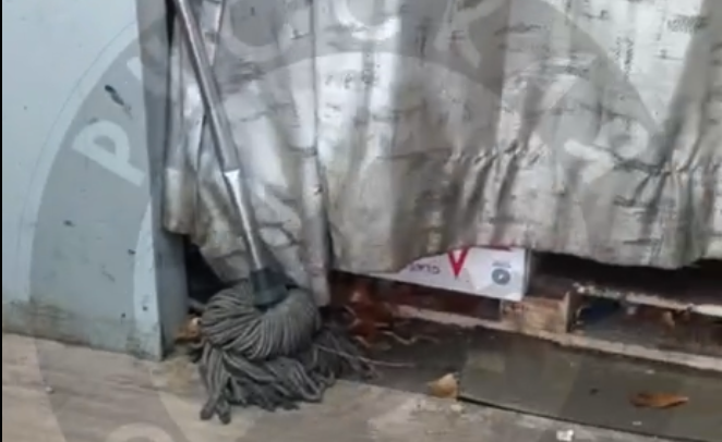 Фото: тг-канал "Русская община".