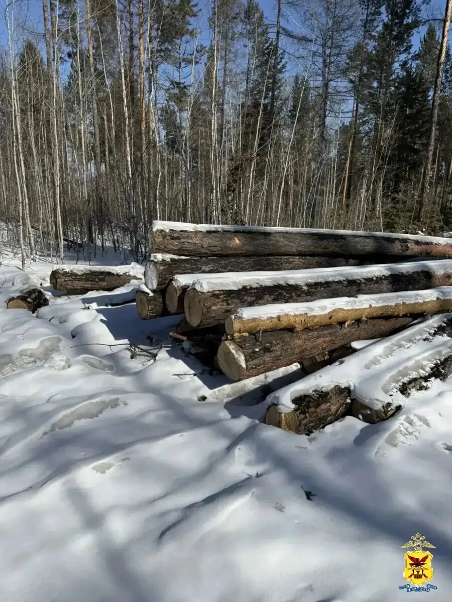    Фото: Пресс-служба УМВД России по Забайкальскому краю   📷   Фото: Пресс-служба УМВД России по Забайкальскому краю