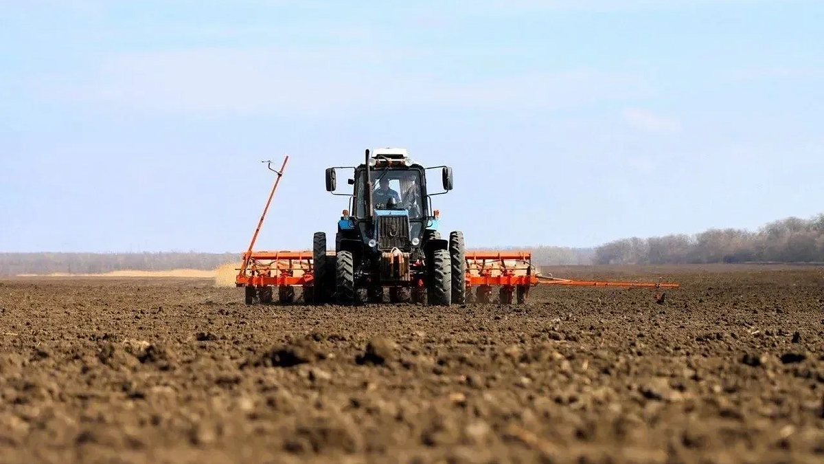    Фото: телеканал «Краснодар»