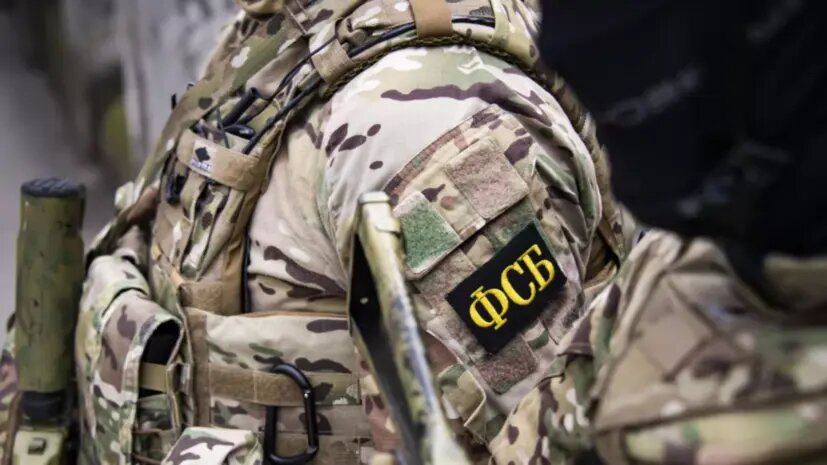    Источник: russian.rt.com Анна Абрамова