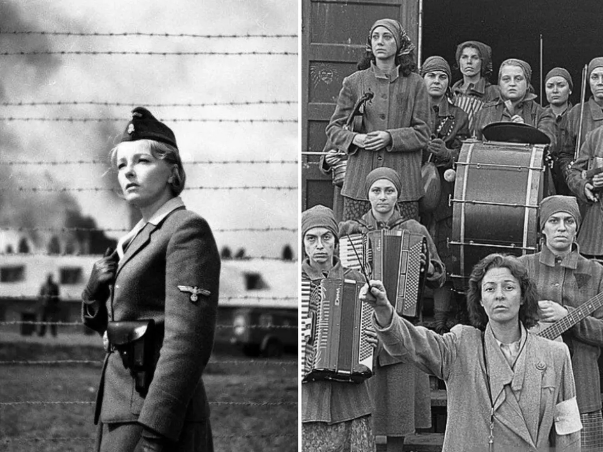 Фото из свободных источников.