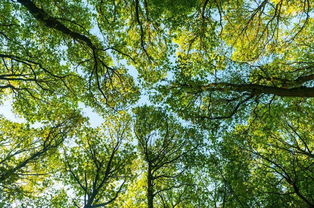 Источник фото: www.plasticpollutioncoalition.org