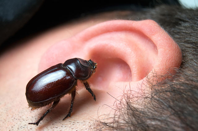    Фото: Shutterstock.com