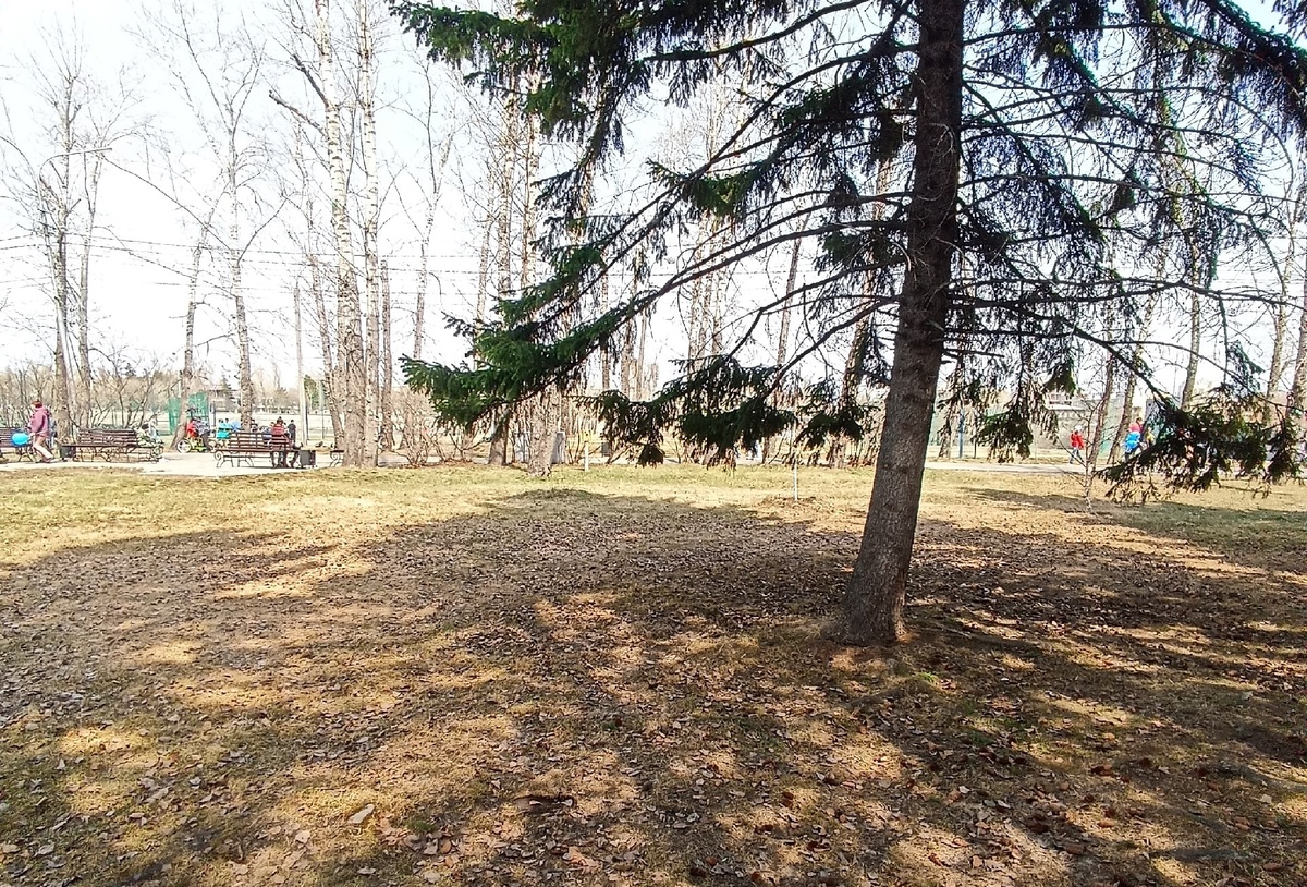 Фото "Иркутск Сегодня"