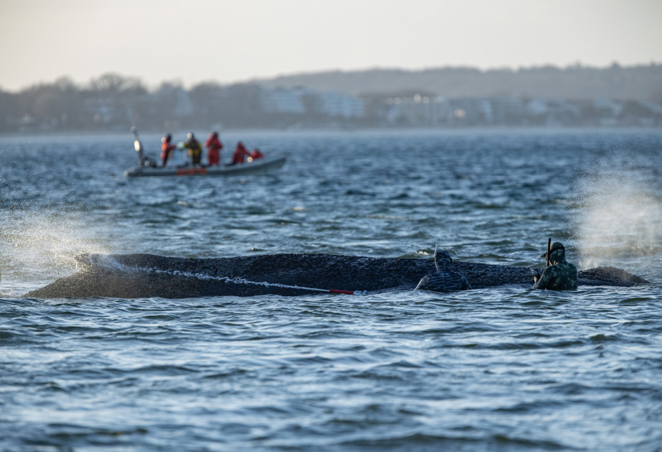    Ulrich Perrey/dpa/Global Look Press