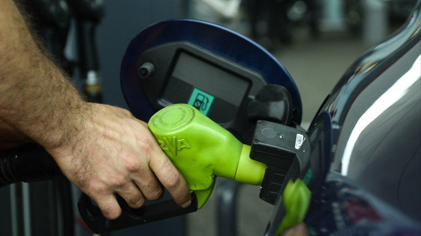    Фото: www.globallookpress.com/Jaap Arriens; 5-tv.ru