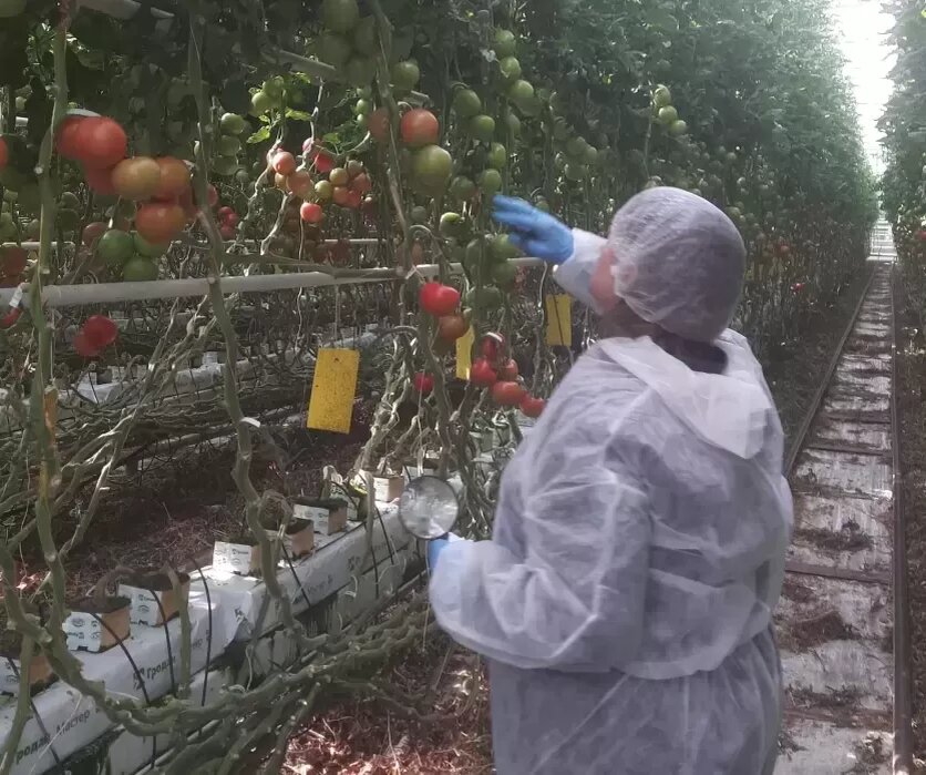 Фото: Уральское межрегиональное управление Россельхознадзора