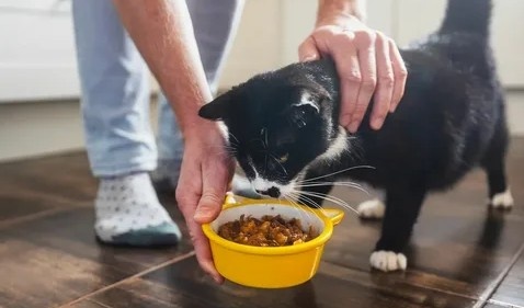 Нехорошая квартирка