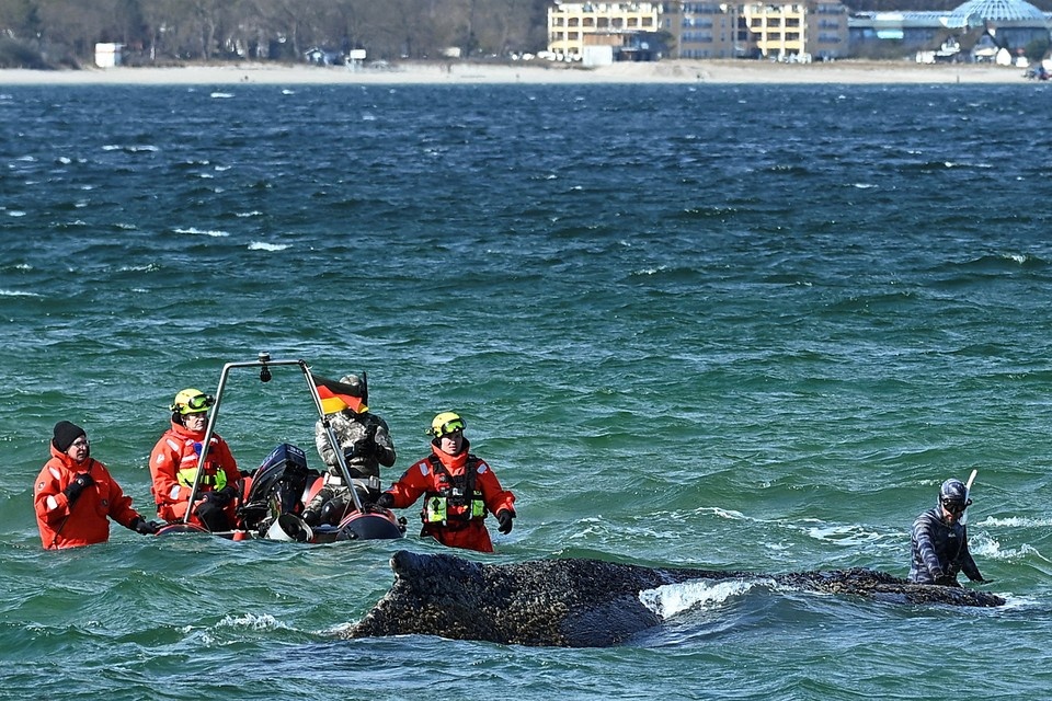    Операция по спасению продолжалась четыре дня REUTERS