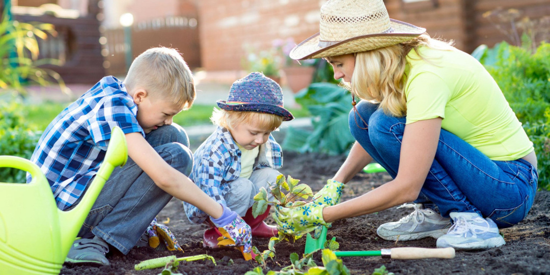 Дача вместо Турции: выбор, который делают тысячи россиян