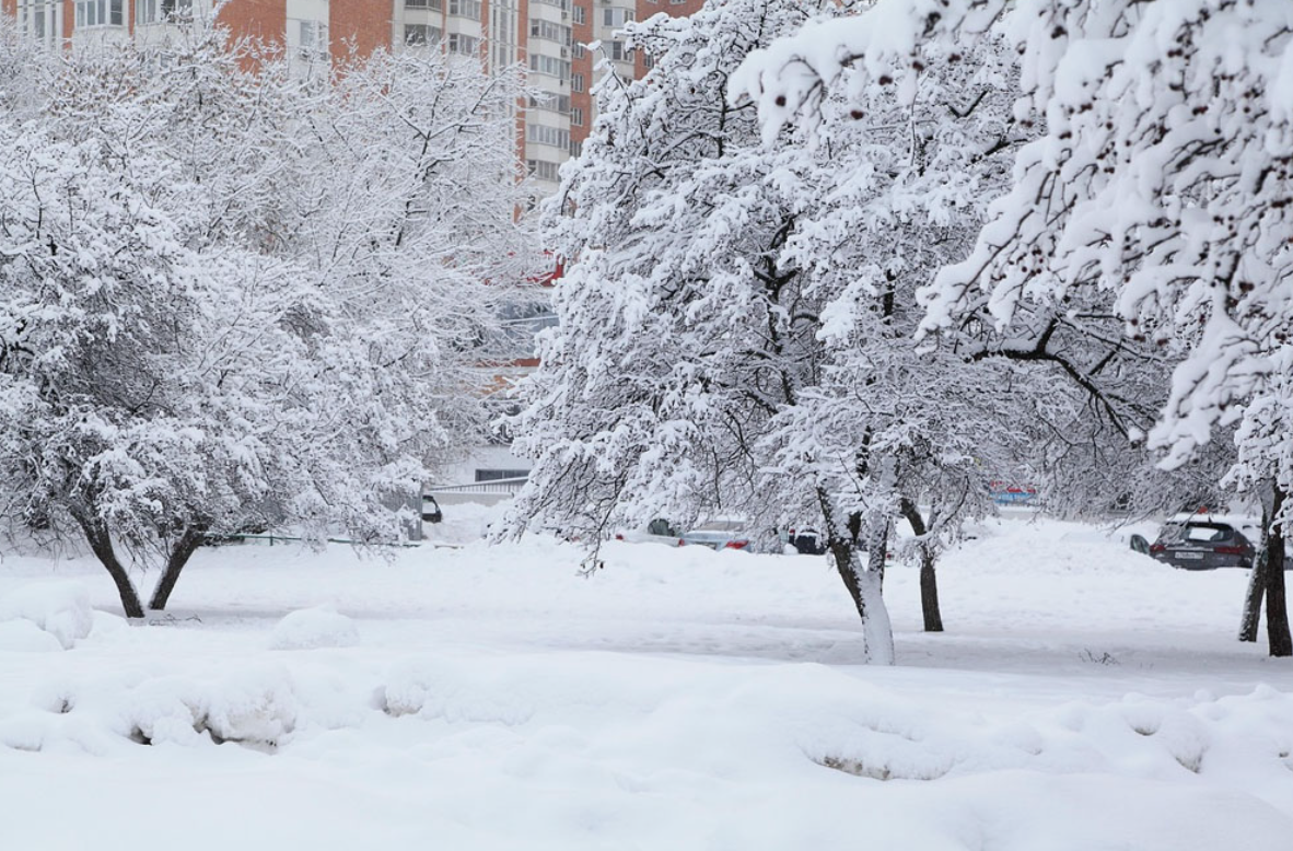 Фото из открытых источников 