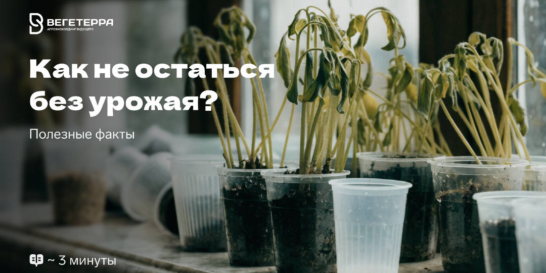 Одна ошибка в начале сезона может оставить вас без урожая, проверьте себя сейчас