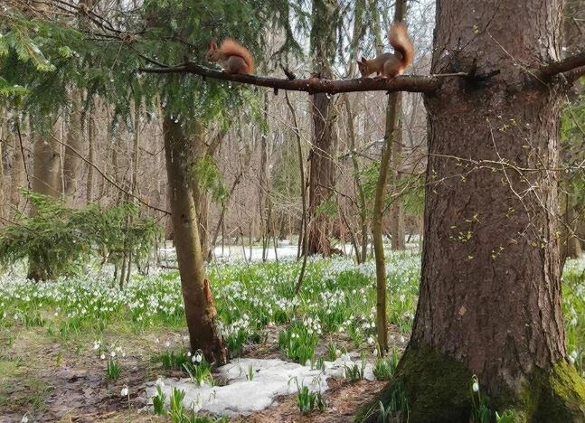 Изображение: GigaChat