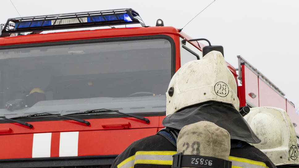 Фото: Егор Снетков / Коммерсантъ