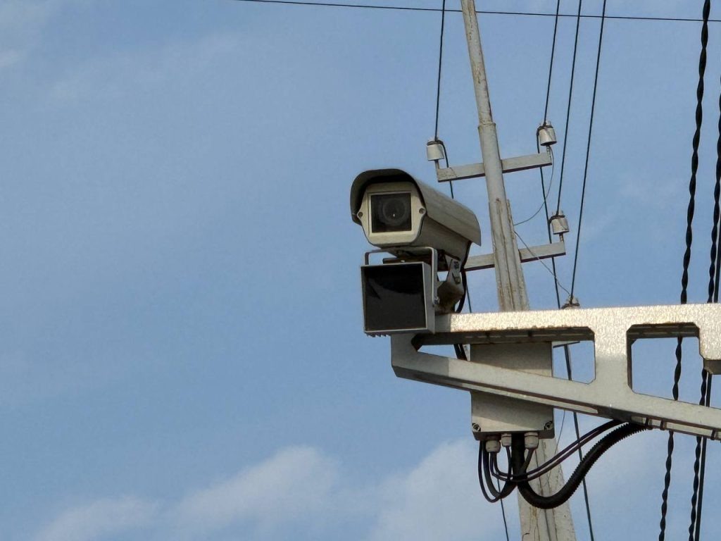    Фото: Яна Пивцайкина