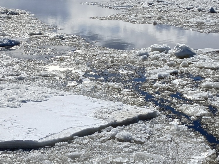     Фото ИА «Регион 29»